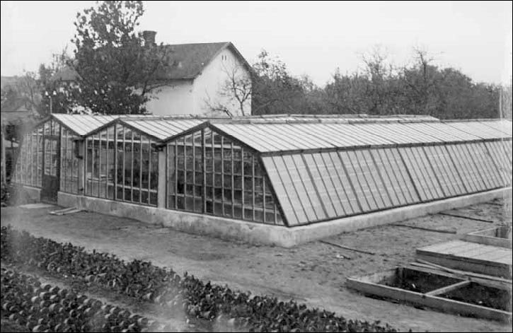 A Gyenes kertészet agrártörténeti értékű üvegházai
