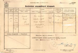 Kiss Árpád születési anyakönyvi kivonata
