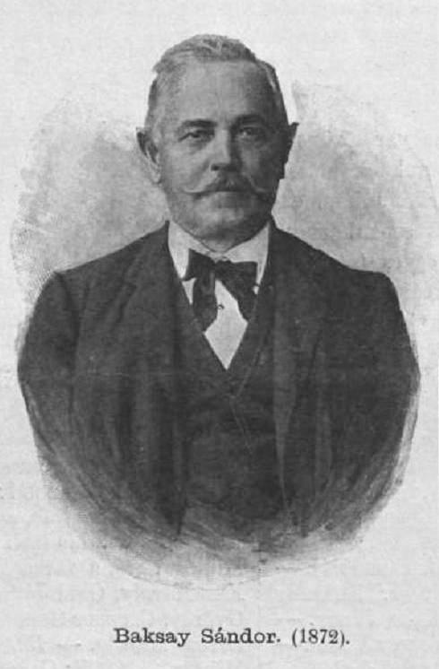 Baksay Sándor (1832-1915) író, műfordító