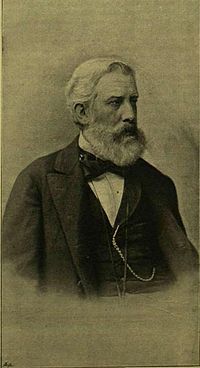 Szilágyi Sándor (1827-1899) történész